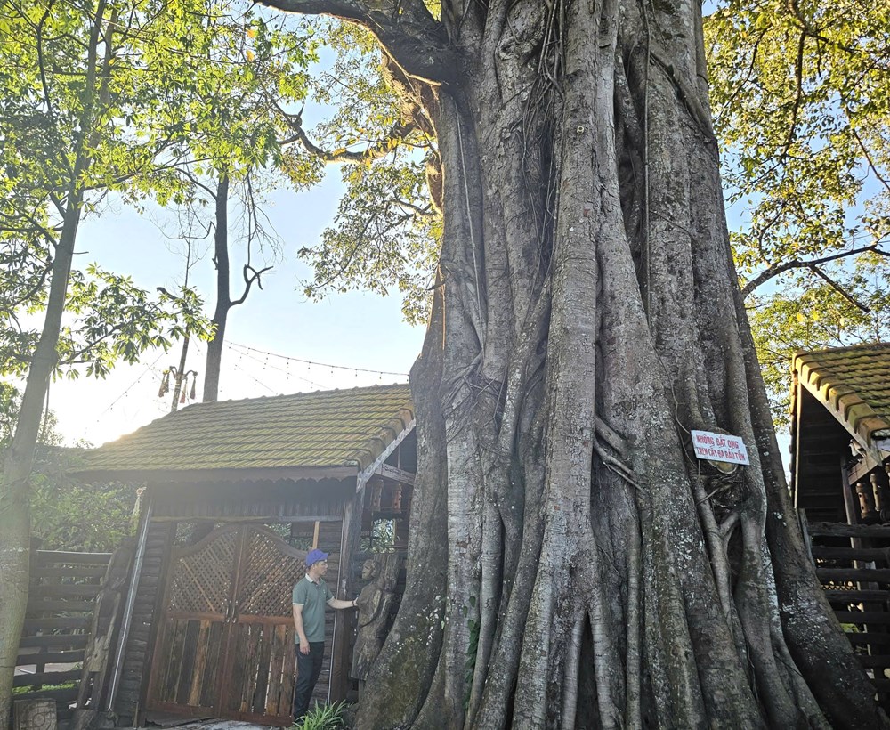 Điểm hẹn văn hóa Gia Rai bên Biển Hồ - ảnh 1