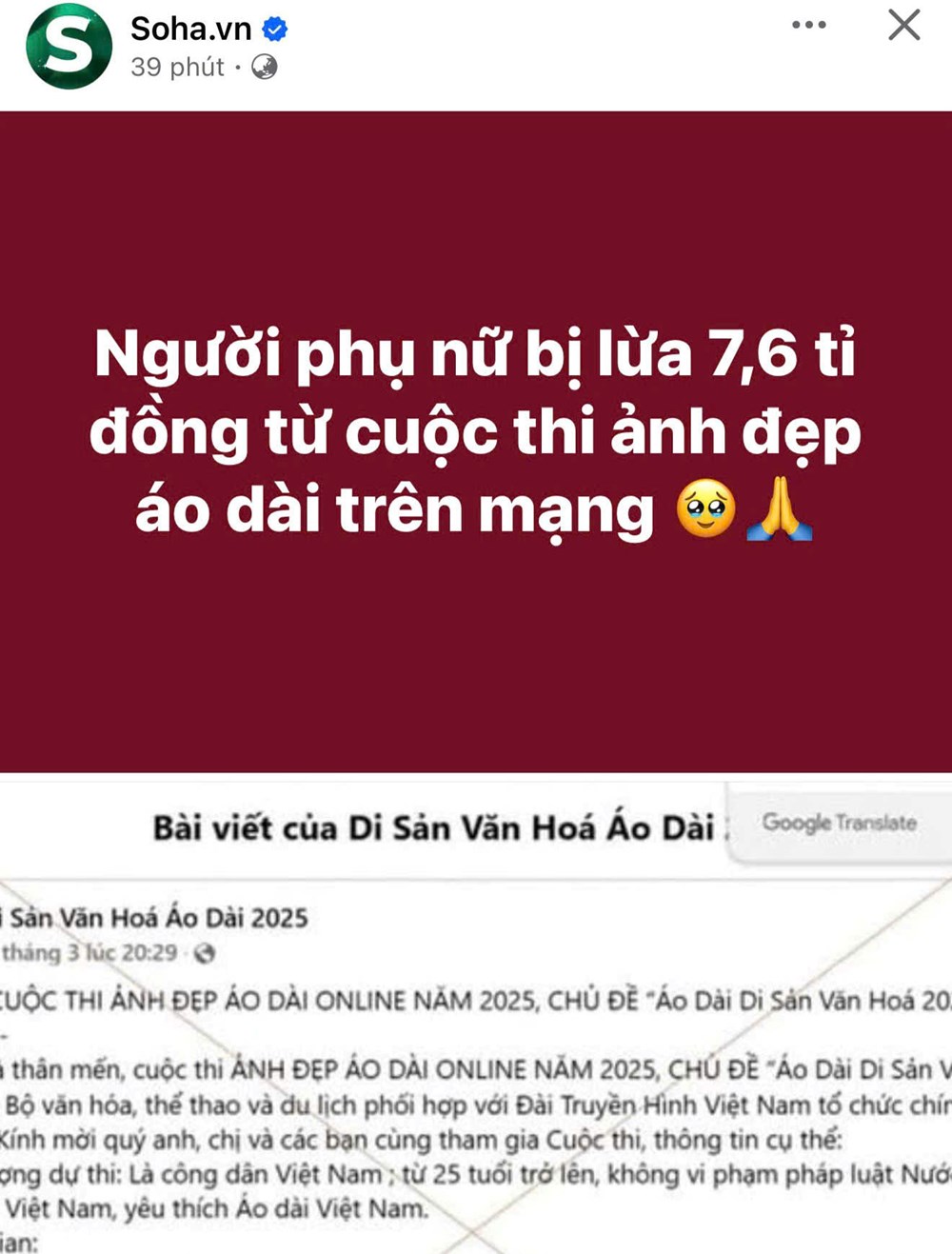 Trách nhiệm của Hiệp hội Văn hóa Áo dài Việt Nam - ảnh 1