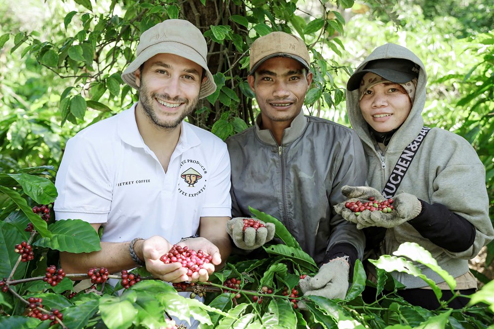 Đắk Lắk: Du khách say mê hành trình “từ vườn đến ly” cà phê - ảnh 2