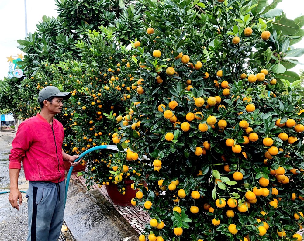 Xuân sớm trên đảo tiền tiêu - ảnh 1