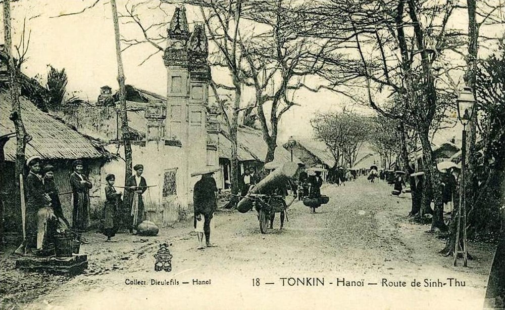 Nhớ hương bánh quy gai - ảnh 1