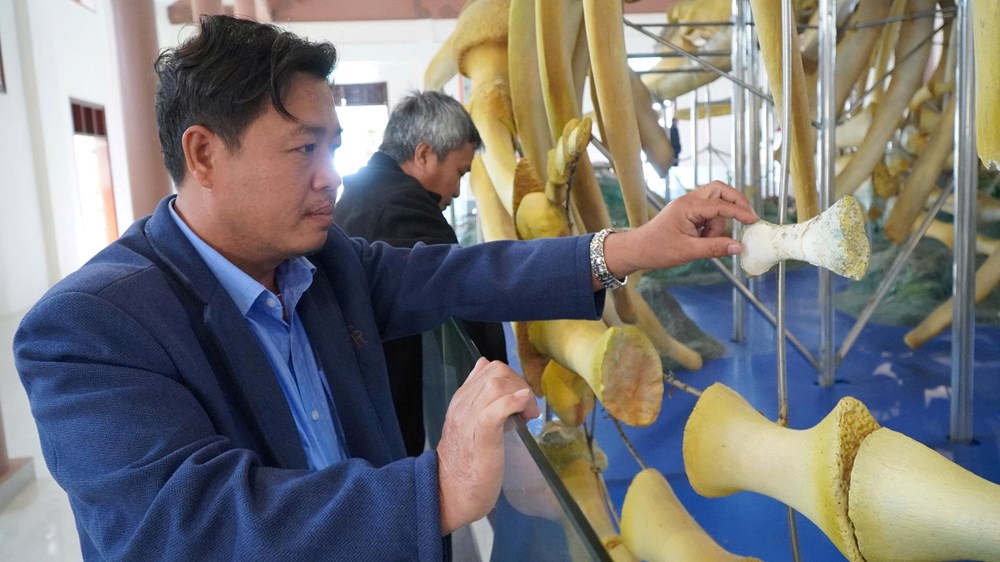 Hai bộ xương cá ông tại Lăng Tân bị hư hỏng nghiêm trọng - ảnh 1