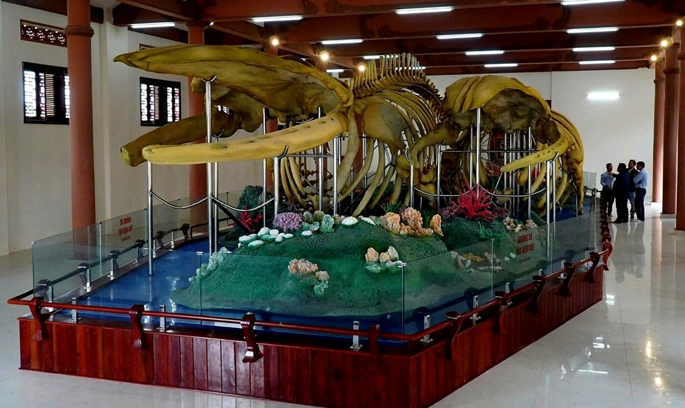 Hai bộ xương cá ông tại Lăng Tân bị hư hỏng nghiêm trọng - ảnh 3