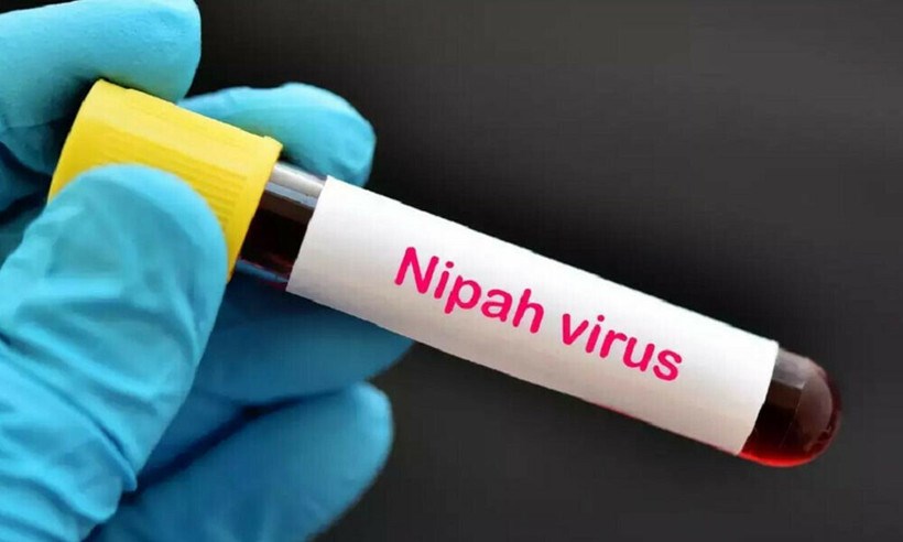 Ấn Độ tuyên bố đã kiểm soát được ổ dịch virus Nipah - ảnh 1