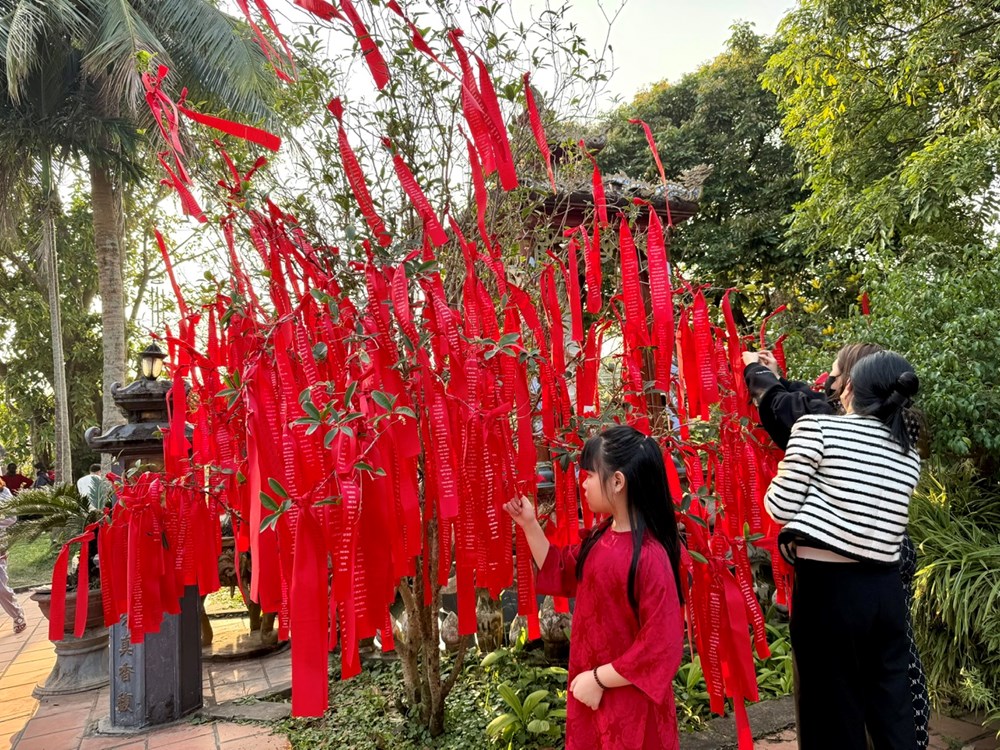 Nô nức dòng người về chùa Đậu du xuân đầu năm - ảnh 9