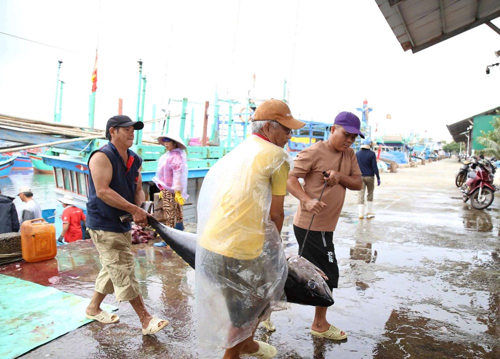 Vươn khơi đầu năm, gia đình là bến đợi - ảnh 1