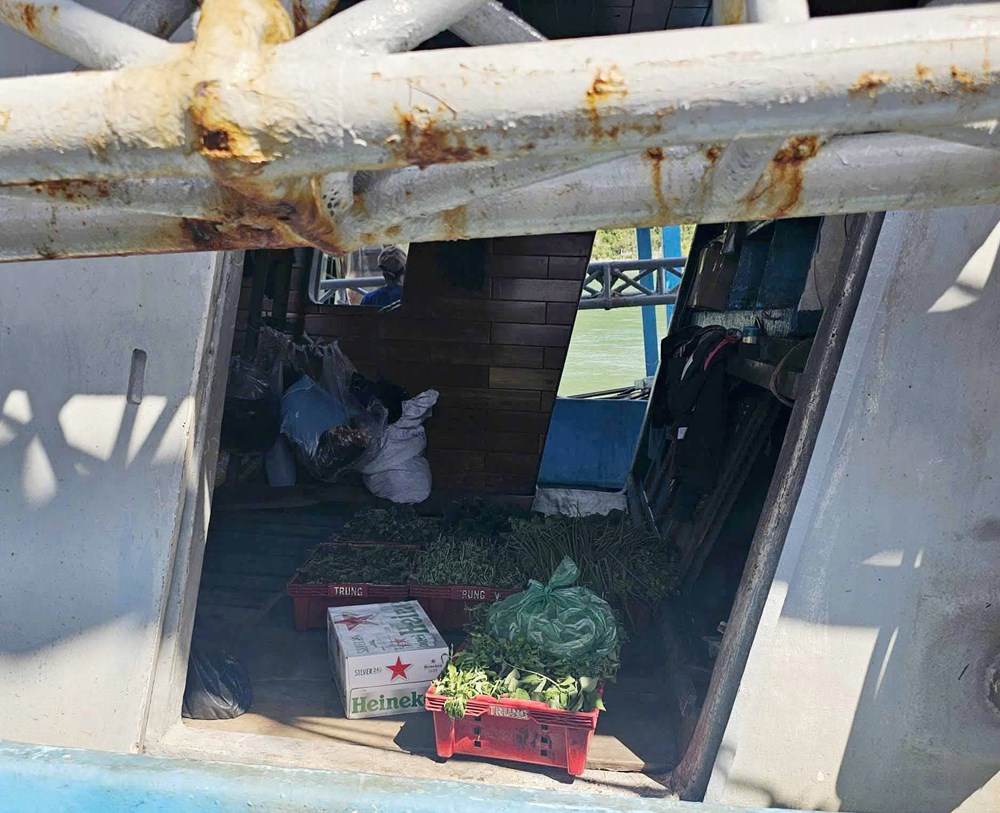 Vươn khơi đầu năm, gia đình là bến đợi - ảnh 2