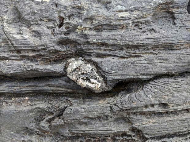 Những tảng đá cổ Scotland làm lung lay giả thuyết “Trái đất đóng băng” - ảnh 2