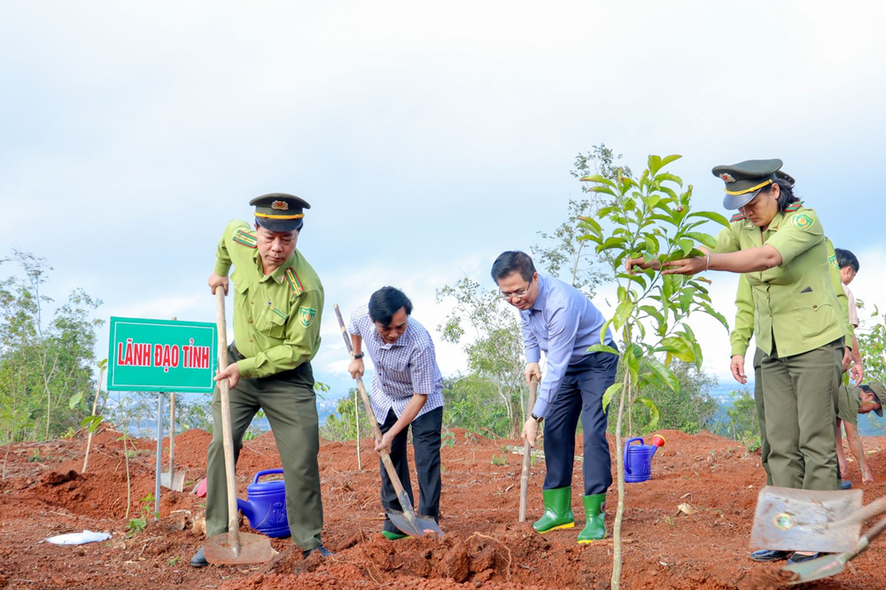 Trồng cây tại di tích núi Thiên Ấn, tri ân nhà chí sĩ yêu nước Huỳnh Thúc Kháng - ảnh 1