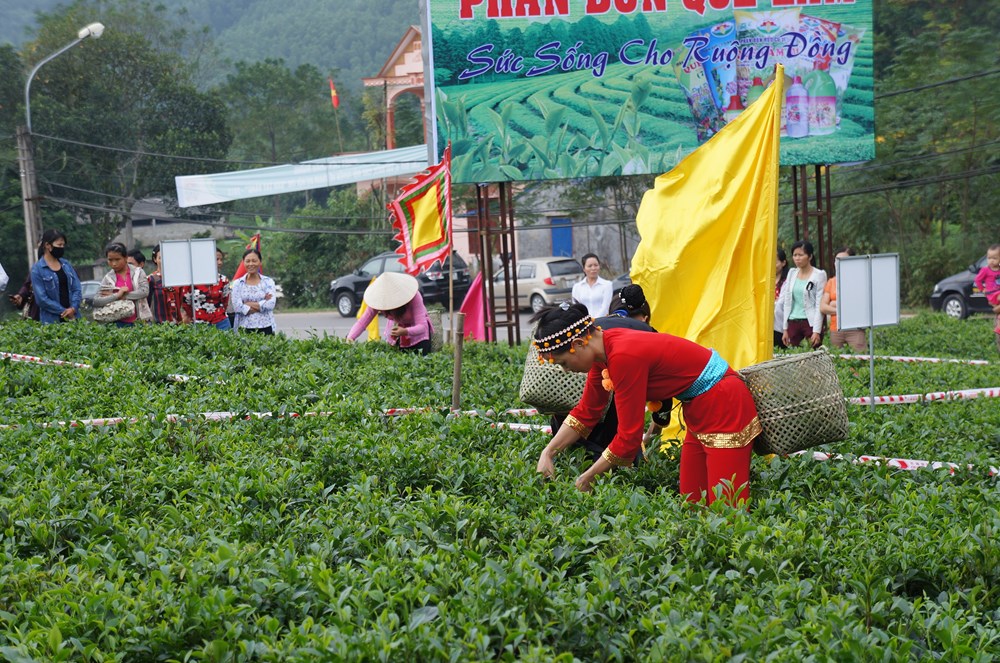Công nghệ số mở lối cho “thủ phủ trà” - ảnh 1