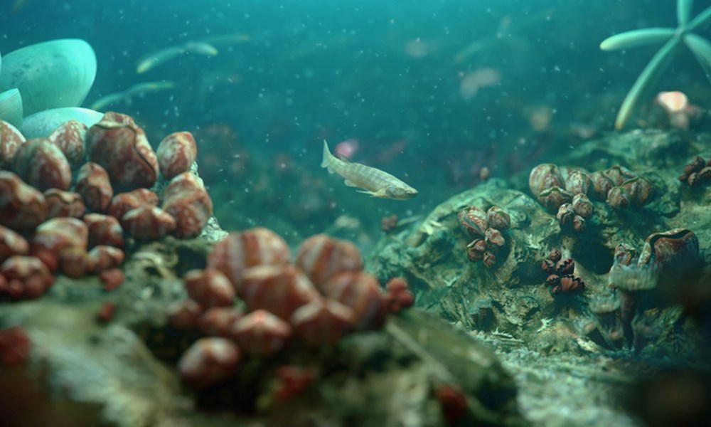 Phát hiện hóa thạch cá cổ đại giúp làm sáng tỏ quá trình tiến hóa từ cá đến người - ảnh 1