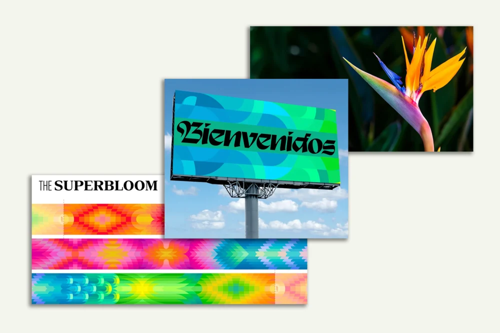 Olympic Los Angeles 2028 công bố bộ nhận diện hình ảnh lấy cảm hứng từ hoa - ảnh 1