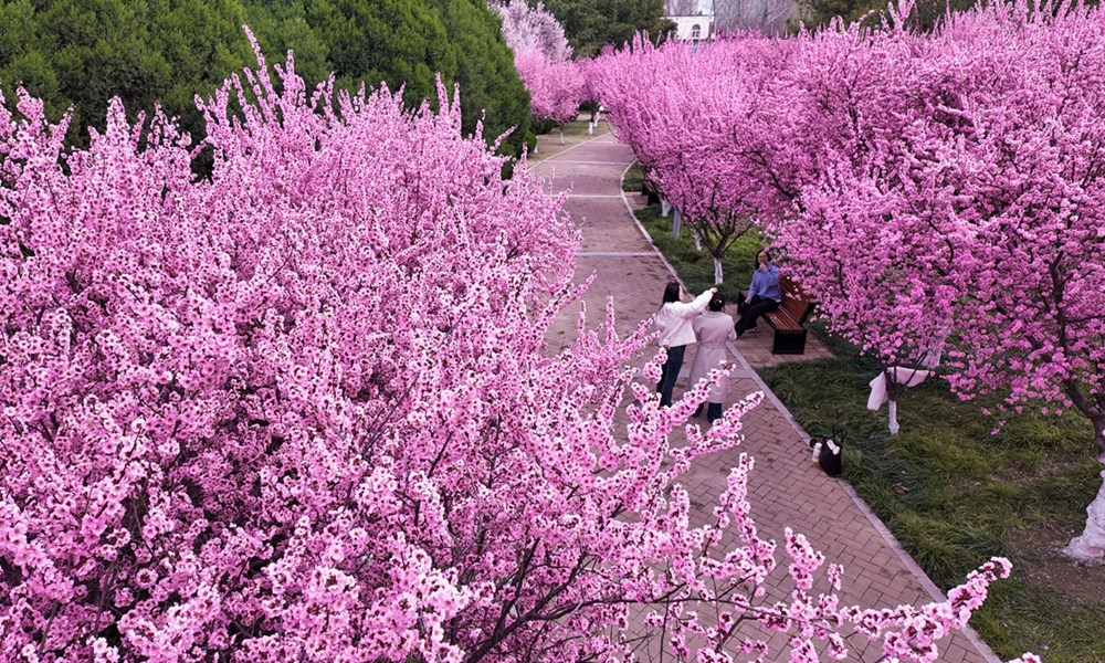 Xu hướng “Đi bộ sắc màu” thay đổi cách giới trẻ Trung Quốc khám phá các đô thị - ảnh 1