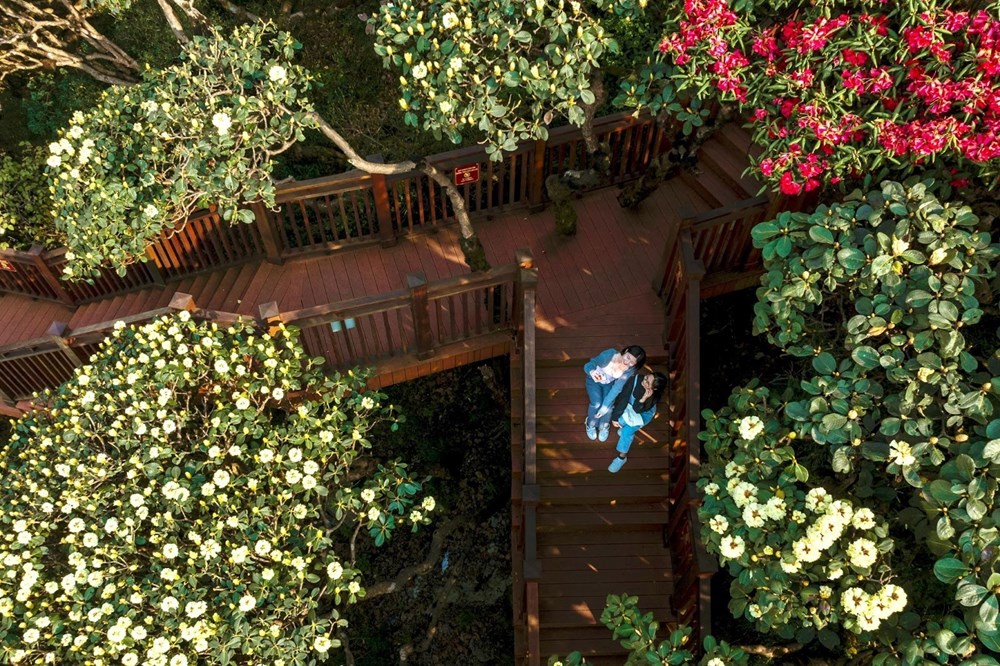 Du lịch Sa Pa dịp Giỗ Tổ, 30.4-1.5: Lộ trình nào lý tưởng nhất? - ảnh 4