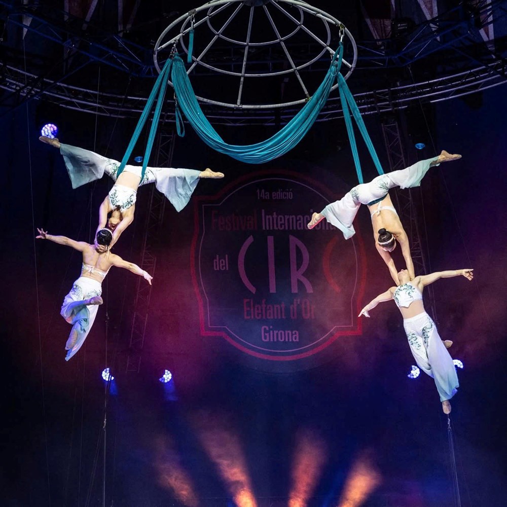 “Tấm hộ chiếu” để nghệ sĩ Việt vươn ra thế giới - ảnh 1