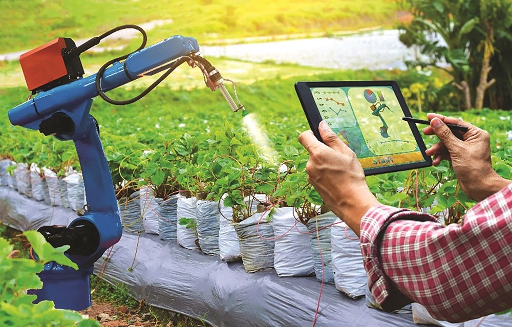 Xu hướng ứng dụng ngân hàng số và công nghệ vào chuỗi cung ứng nông sản - ảnh 1