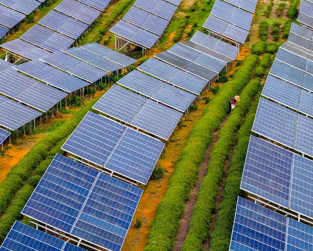 Điện mặt trời bứt tốc, mở ra “kỷ nguyên tăng trưởng xanh” - ảnh 1