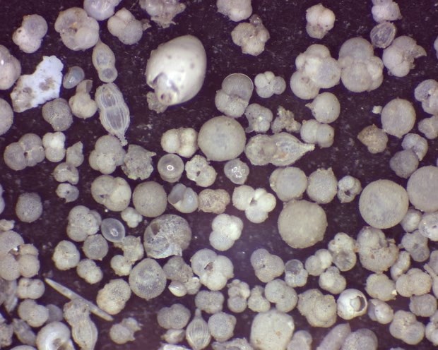 Kỳ quan “Mười Hai Tông Đồ” có niên đại lên đến 14 triệu năm - ảnh 2