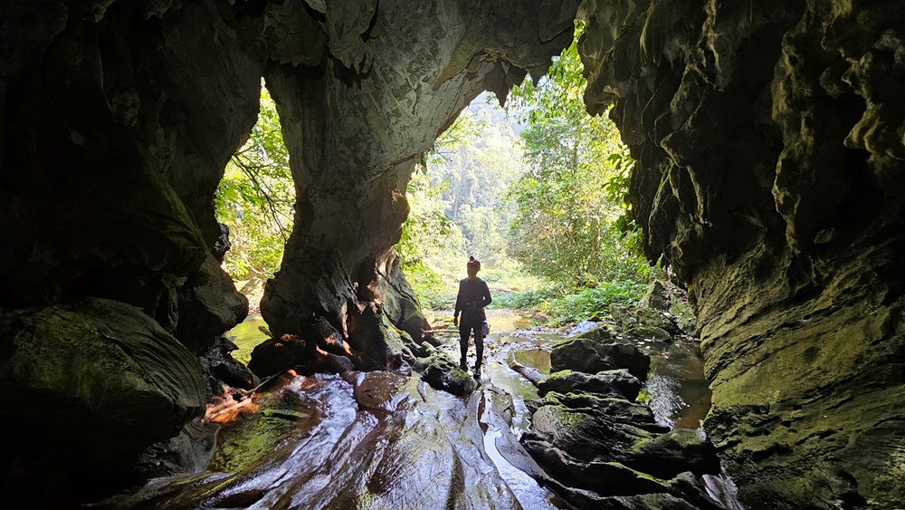 Mở ra hướng nghiên cứu sâu hơn về địa chất và hệ sinh thái lịch sử - ảnh 4
