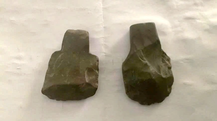 Mở ra hướng nghiên cứu sâu hơn về địa chất và hệ sinh thái lịch sử - ảnh 2