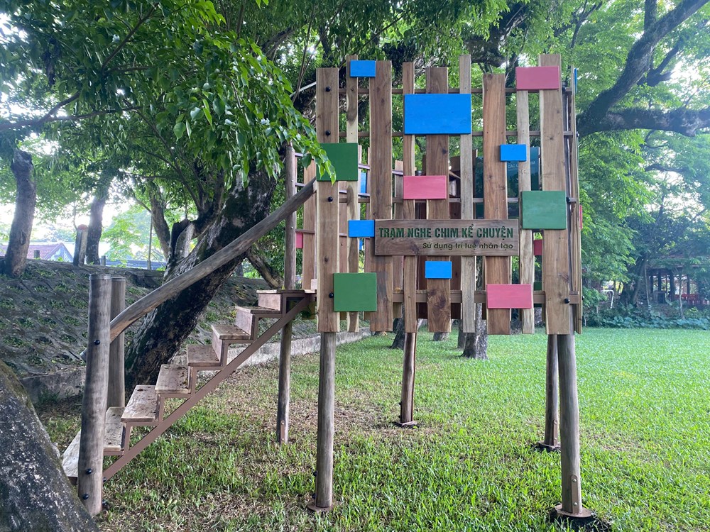 Khi tiếng chim bước vào không gian nghệ thuật đô thị - ảnh 1
