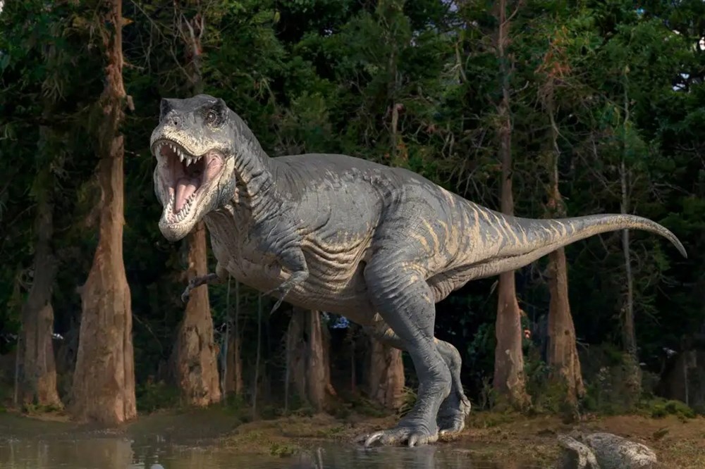Vì sao khủng long T-rex có cánh tay nhỏ xíu dù là loài săn mồi khổng lồ? - ảnh 1