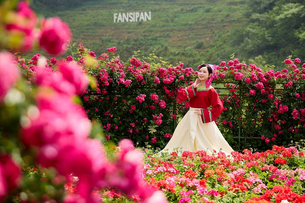 Đông đảo Phật tử hành hương về Fansipan mùa Phật đản - ảnh 8