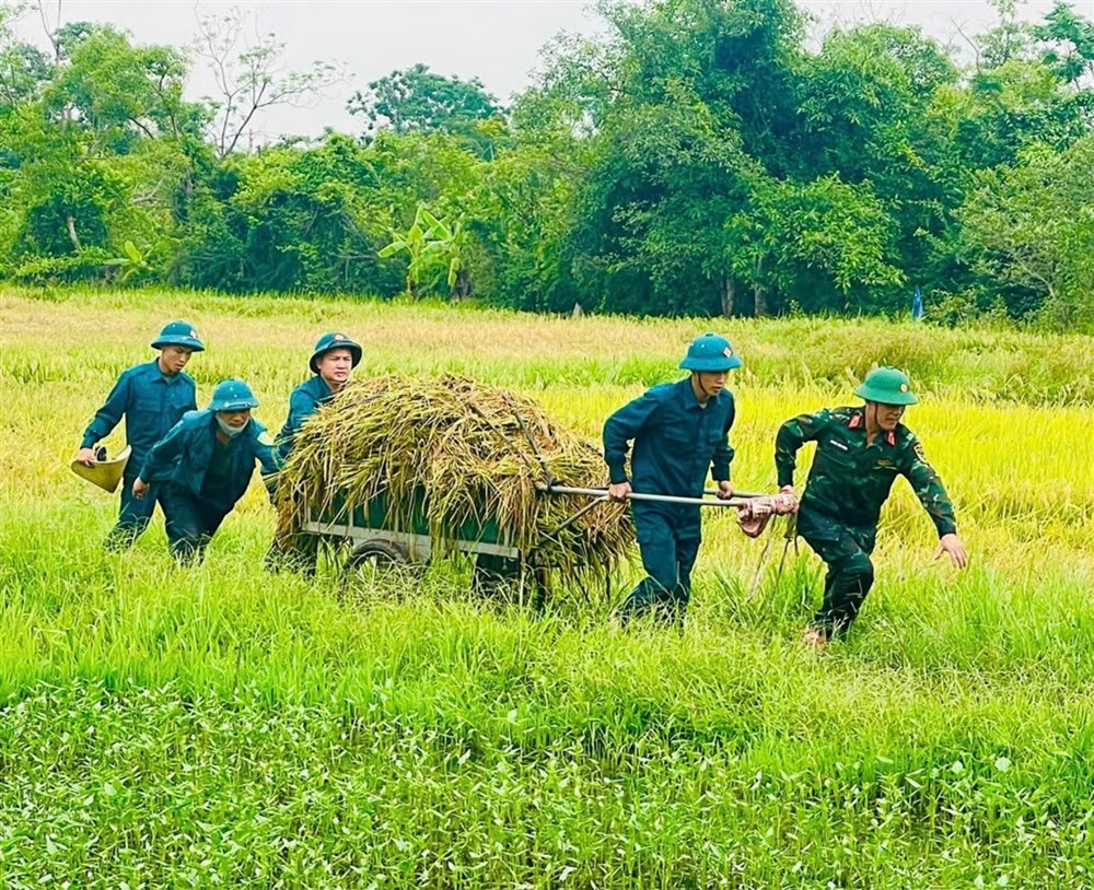 Tình quân dân “gieo” giữa mùa gặt - ảnh 3