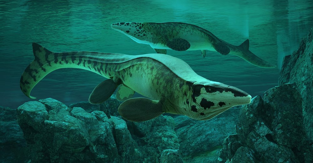 Loài quái vật biển khổng lồ được ví như “T. rex của đại dương“ - ảnh 1