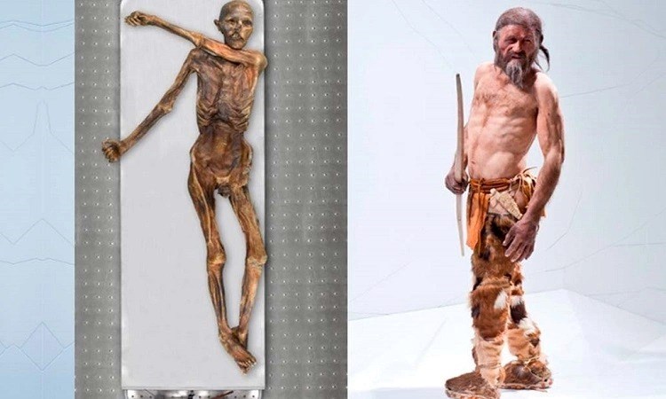 Phát hiện “thế giới sống” bên trong xác ướp 5.300 năm tuổi - ảnh 1