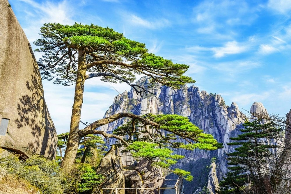 Di sản ba lần được UNESCO vinh danh dùng công nghệ phát triển du lịch bền vững - ảnh 2