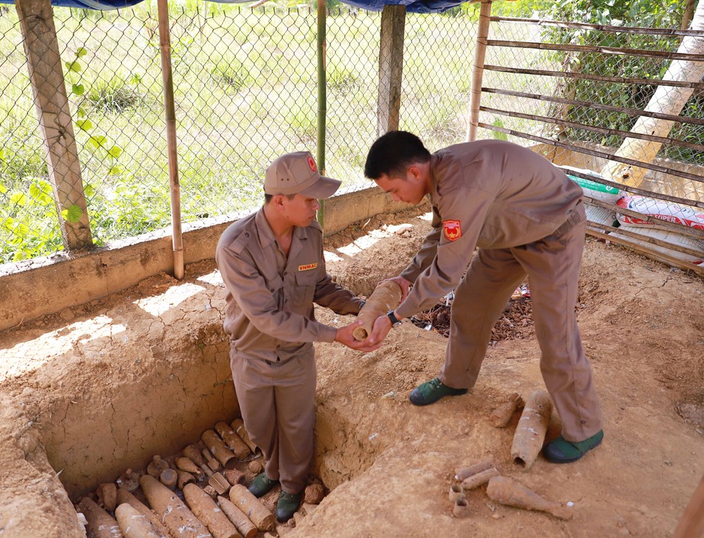 Hành trình hồi sinh những vùng “đất chết” - ảnh 2