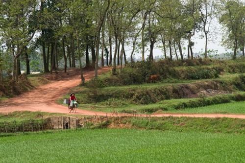 Đâu là những “giá trị nổi bật toàn cầu” của di tích Cổ Loa? - ảnh 2