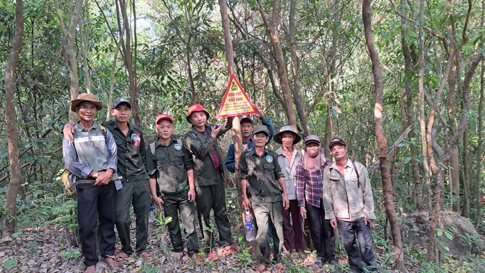 Giữ rừng di sản Mỹ Sơn từ sức mạnh cộng đồng - ảnh 1