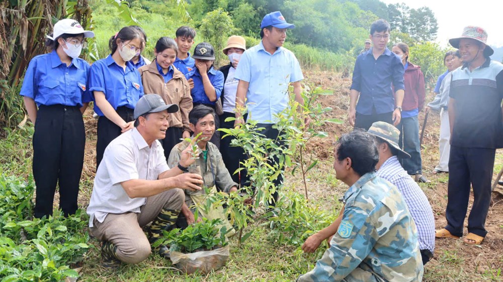 Từ “Đại hội không hoa” đến sinh kế mới cho đồng bào Xơ Đăng - ảnh 3