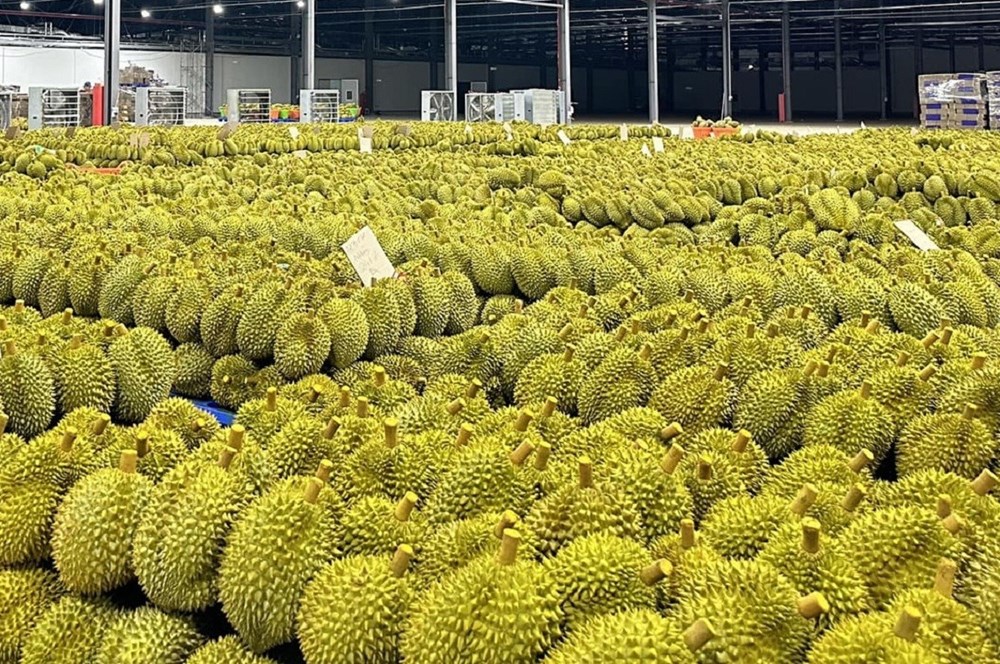 Ngành rau quả lần đầu vượt 1 tỉ USD/tháng, cảnh báo từ việc thu hồi mã số vùng trồng - ảnh 1