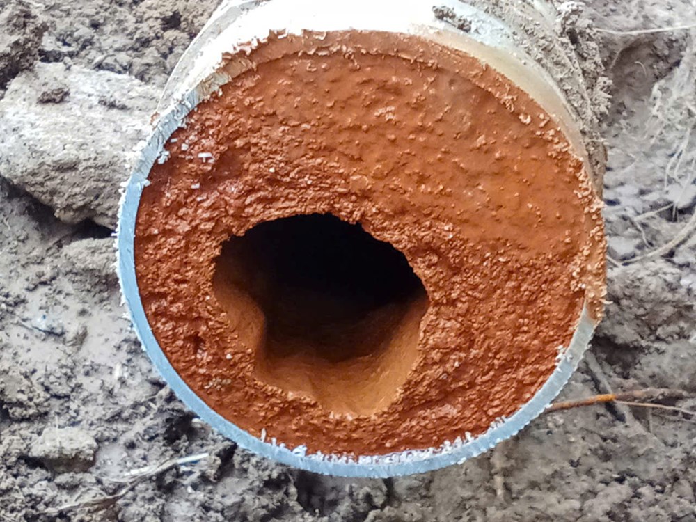 Hàng trăm hộ dân “gánh” thêm chi phí vì nước nhiễm phèn - ảnh 2