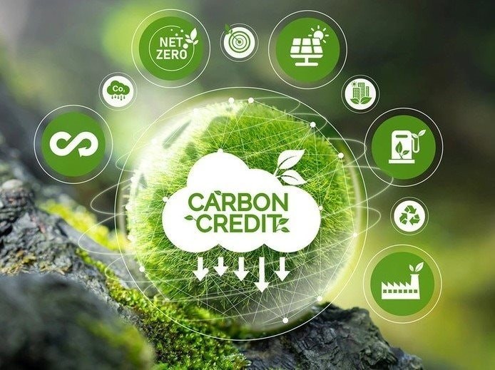 Tín chỉ carbon có thể trở thành nguồn thu mới của doanh nghiệp như thế nào? - ảnh 1