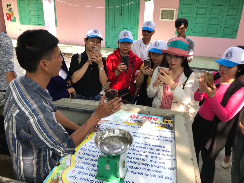 Cù Lao Chàm: Từ “săn” cua đá đến khai thác văn minh - ảnh 2