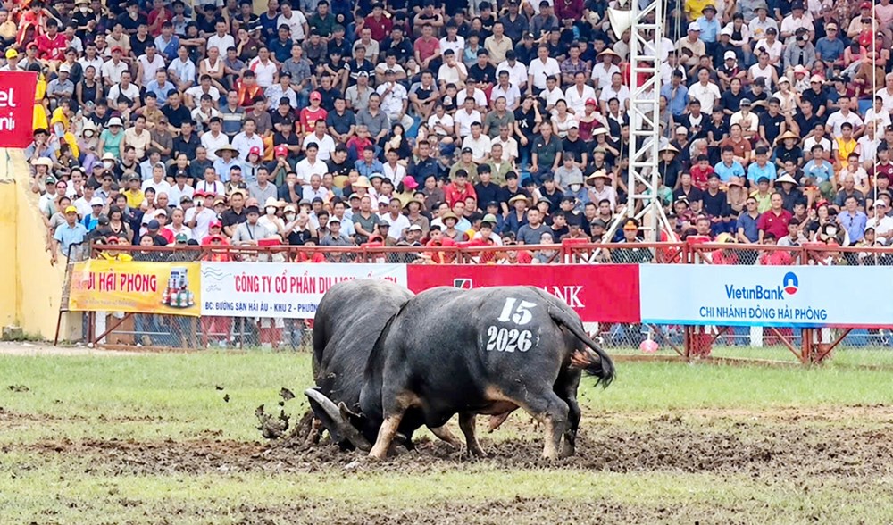 Để không gian văn hóa trở thành điểm đến - ảnh 1