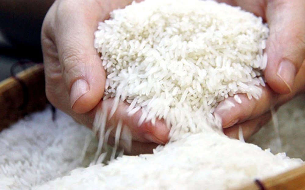 Gạo hữu cơ, gạo đặc sản được “mở cửa” xuất khẩu thế nào từ tháng 10? - ảnh 1