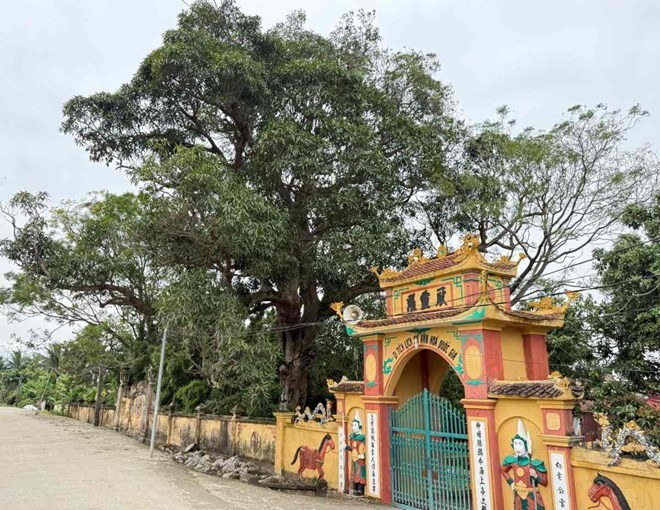 Kỳ cuối - Vĩ thanh trên vùng đất địa linh nhân kiệt - ảnh 1