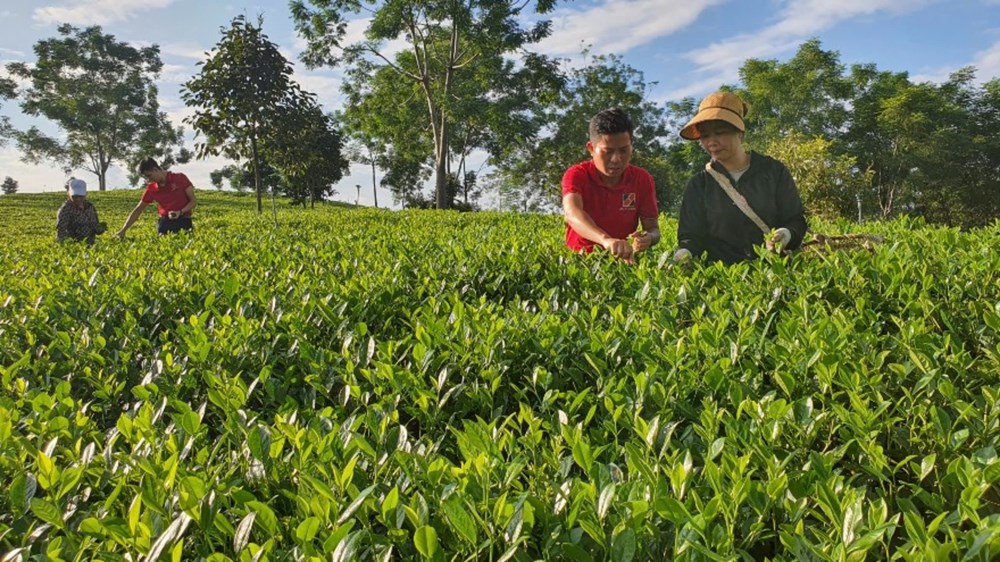 Agribank - Ngân hàng tiêu biểu vì cộng đồng - ảnh 1