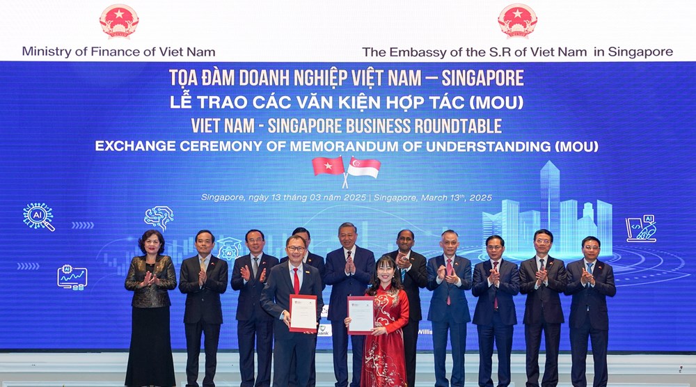 Trường Đại học VinUni và Đại học NTU - Singapore ký kết hợp tác liên minh chiến lược - ảnh 1