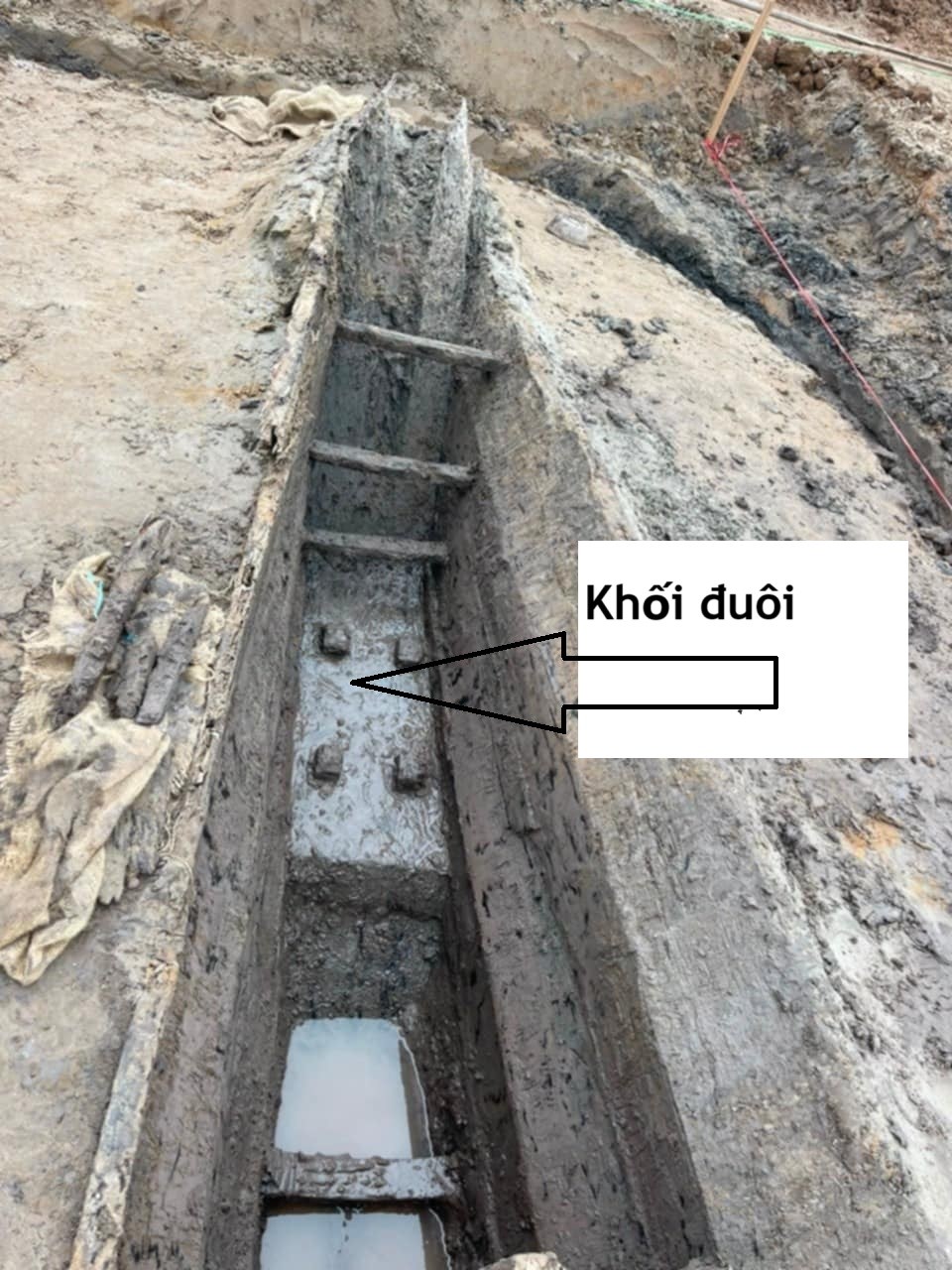Xuất hiện một giả thuyết “gây sốc“ - ảnh 7