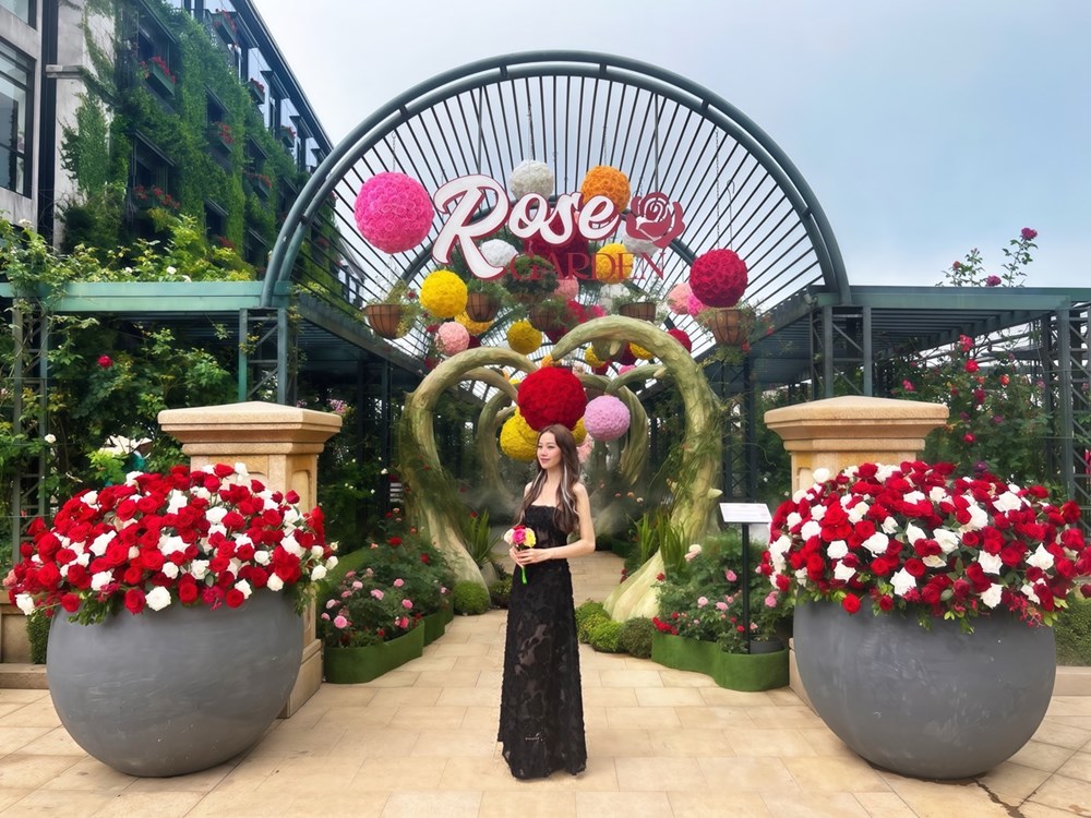 Lạc bước giữa thiên đường hoa hồng tại Sun World Ba Na Hills - ảnh 1