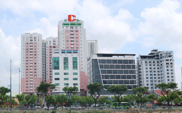 CTCP Chương Dương lên kế hoạch chào bán riêng lẻ thêm 30 triệu cổ phiếu - ảnh 1