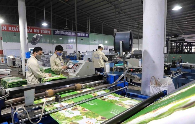 Thuận Đức (TDP) sắp chào bán hơn 22 triệu cổ phiếu cho cổ đông hiện hữu - ảnh 1