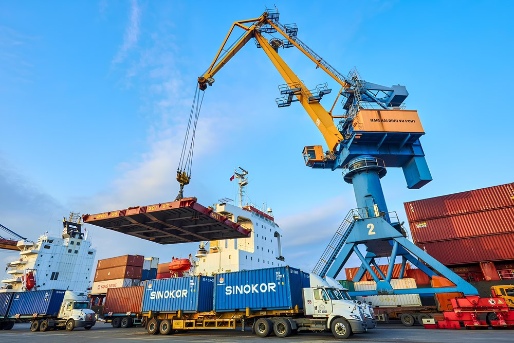 Viconship (VSC) muốn nâng kế hoạch lợi nhuận trước thuế năm 2025 - ảnh 1