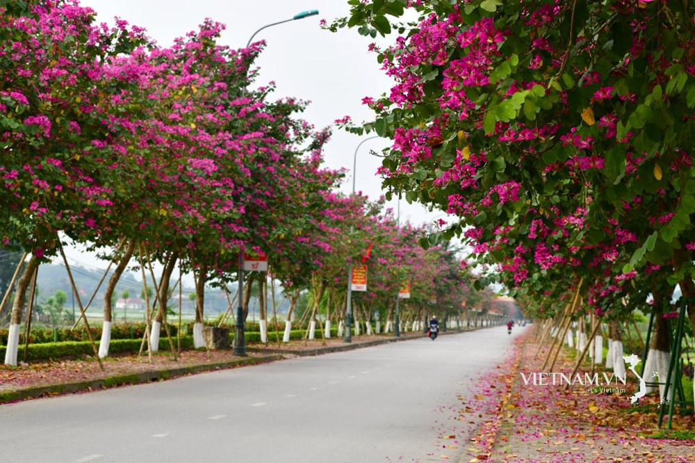 Có một Việt Nam hạnh phúc - ảnh 19